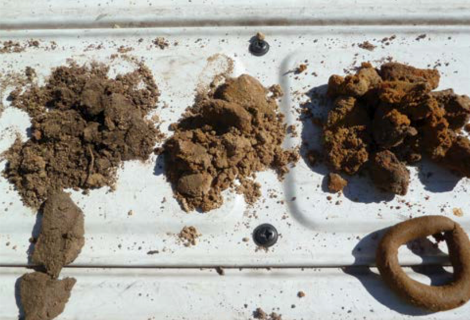 Оценка текстуры грунта ручным способом в полевых условиях