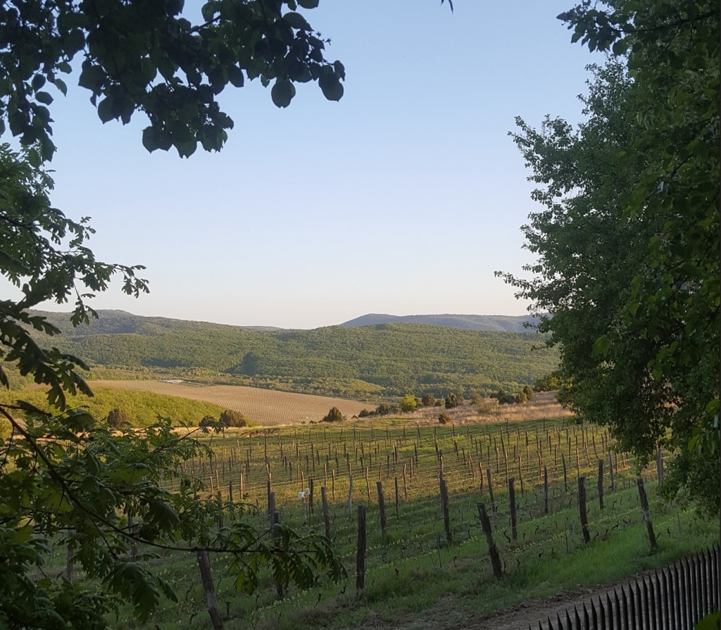 шпалера Uppa winery