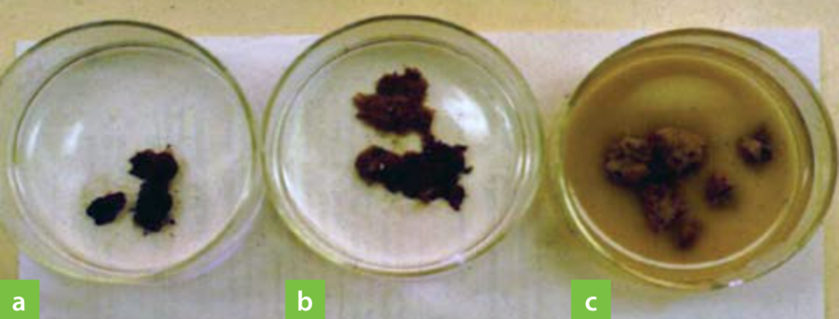 Тест составляющих почвы в лаборатории