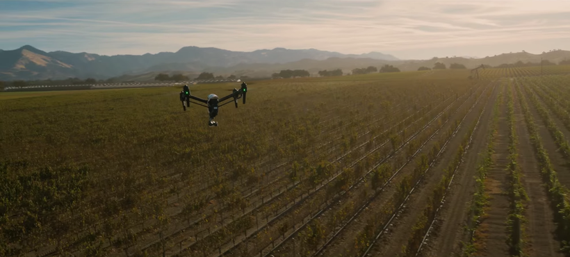 квадрокоптер над виноградником