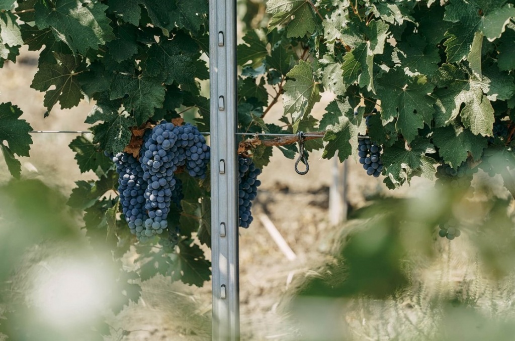 Снимок экрана 2022-09-10 032159.jpg