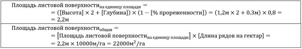 РАСЧЁТ ПЛОЩАДИ ЛИСТОВОЙ ПОВЕРХНОСТИ