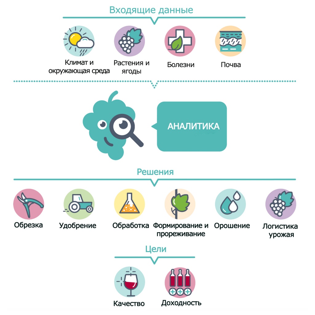 решение для виноградника.jpg