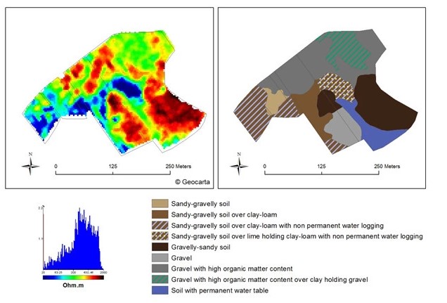 Пример карты виноградника