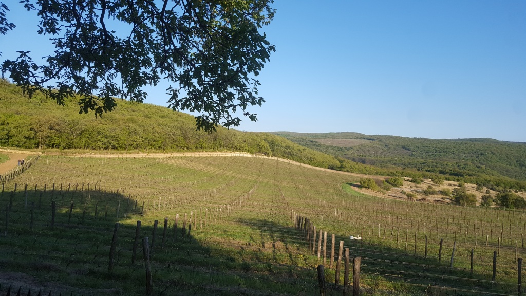 шпалера уппа 2