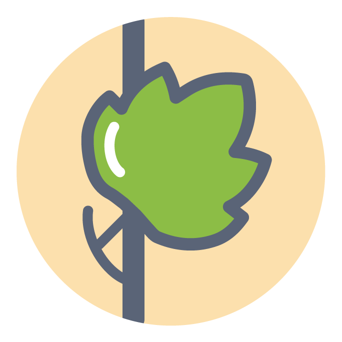 Picto-plant.png
