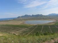 Отважное, Старый Крым, пологая северная экспозиция (~5га) - земельный участок под виноградник