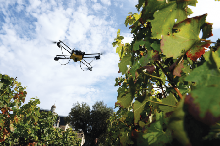Бесценные сотрудники: как дроны помогают выращивать лучший виноград