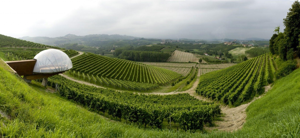Расположена эта необычная винодельня в одном из самых крупных хозяйств Пьемонта – Ceretto.