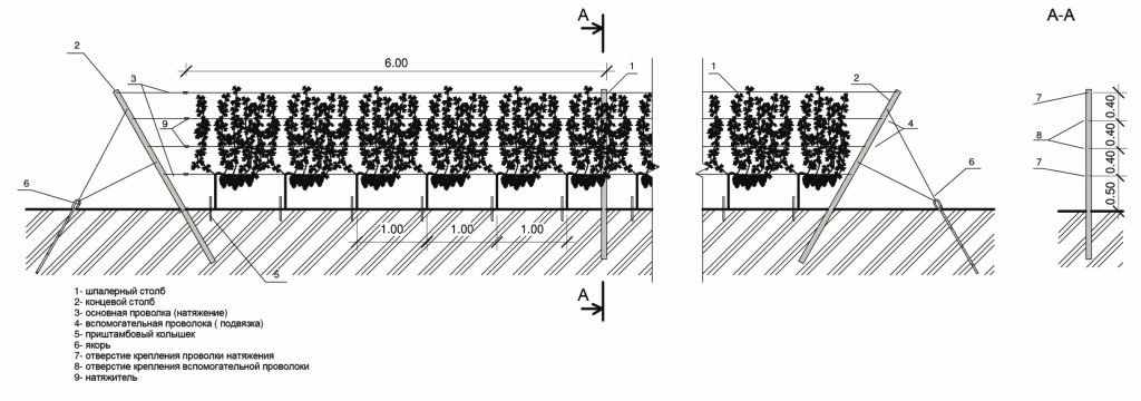 СХЕМА КОНСТРУКЦИИ ШПАЛЕРЫ