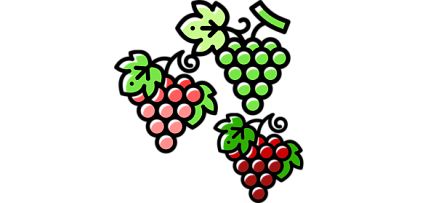 Подбор сортов винограда